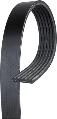 Gates K060827 Serpentine Belt