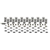 Brian Tooley Racing Dual Spring Valve Spring Kit - GM LS-Series