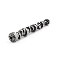 Brian Tooley Racing Stage 2 Camshaft - GM LS-Series - Lift 0.553/0.553 in