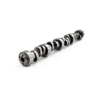 Brian Tooley Racing Stage 3 Twin Turbo V2 Camshaft - GM LS-Series