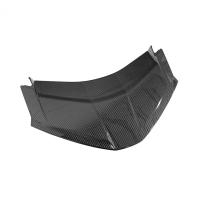 Corvette C8 Carbon Fiber Rear Lower Hatch Panel