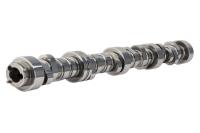 Comp Cams Thumper NSR Stage 2 Camshaft - GM LS-Series - Lift 0.541/0.539 in