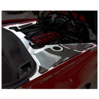 C8 Corvette Fender Cover Inserts with Carbon Fiber Stainless Steel