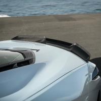 EOS Wicker-Bill Package C8 Corvette - W / Winglet and Dark Tinted Wickerbill