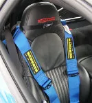 Shoulder Harness/Belt Holder For Corvette, Porsche & Nopi Racing, "theDickStrap"