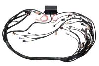 Haltech Elite Engine Wiring Harness - GM LS-Series