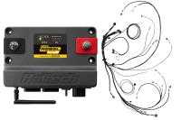 Haltech Cable Engine Control Module - Nexus Rebel LS