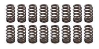 Pac Racing Springs 1200 Series Valve Spring - GM LS-Series - Set of 16