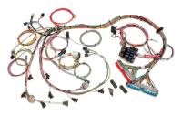 Painless Wiring EFI Wiring Harness - GM LS-Series 1998-2002