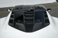 20-26+ C8 Corvette Coupe Rear Split-Window Louver (Unpainted) - EOS