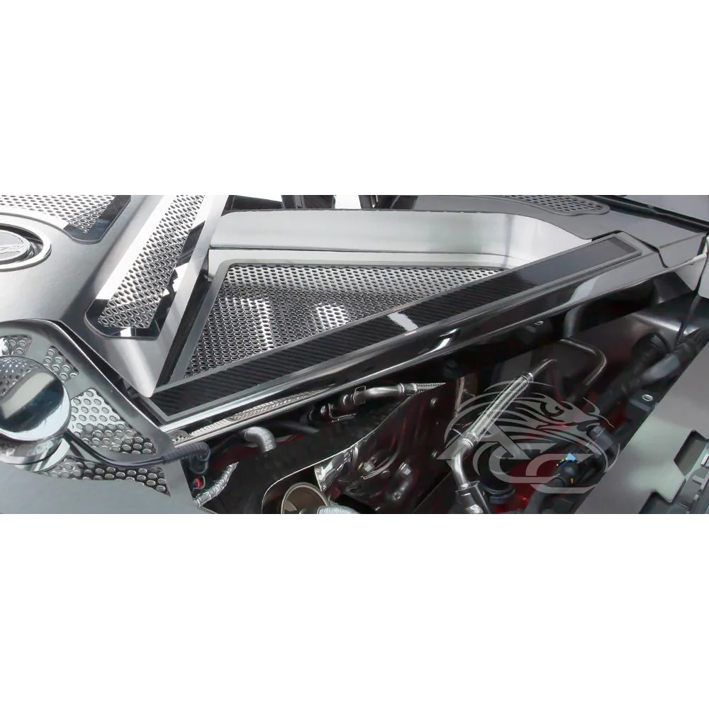 2020-23 C8 Corvette Coupe, Rear Crossmember Covers w/Carbon Fiber Top Plate 2Pc,