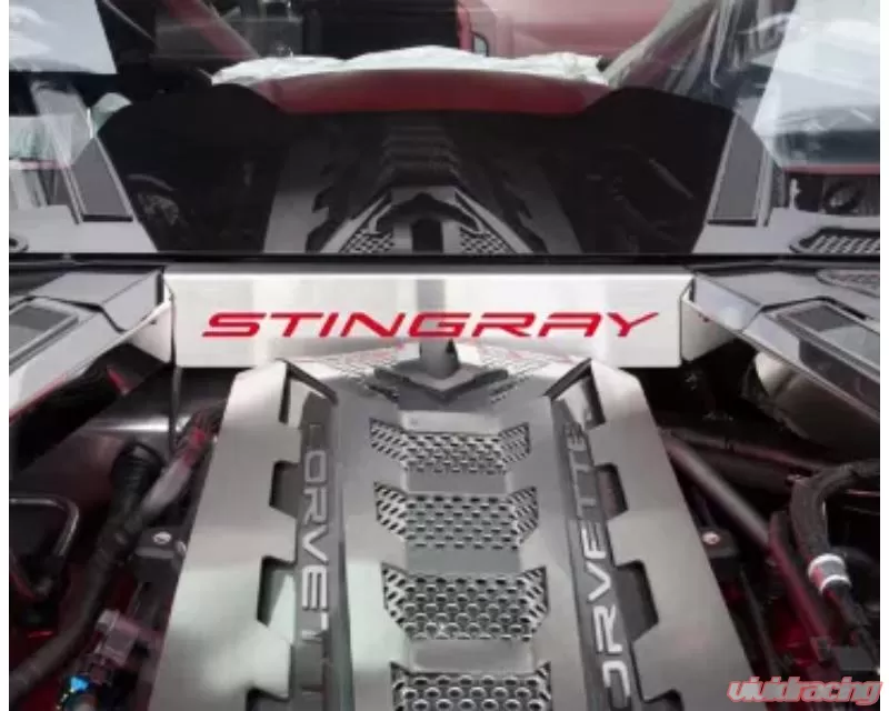 American Car Craft Red Carbon Fiber Lower Rear Window Accent Stingray Style Chevrolet Corvette C8 2020-2024