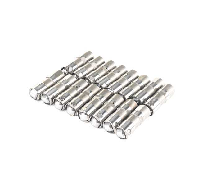 Brian Tooley Racing Hydraulic Roller Lifter - GM LS-Series - Set of 16