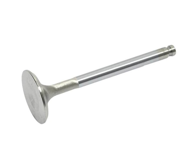 Ferrea LS7 Hollow Stem Exhaust Valve Set