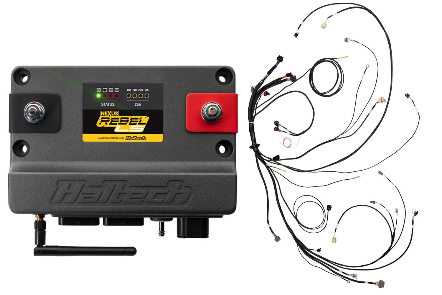 Haltech Cable Engine Control Module - Nexus Rebel LS