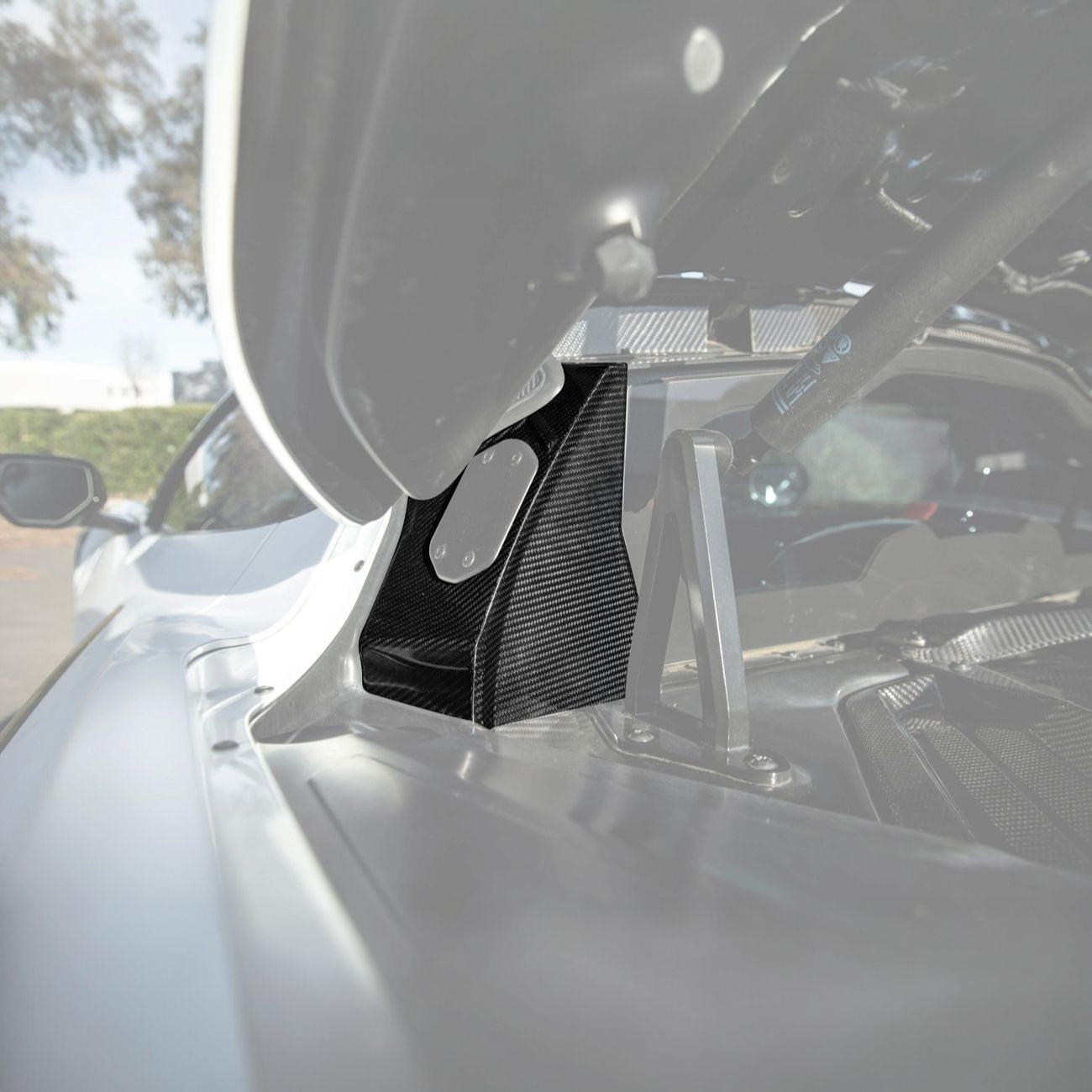 EOS C8 Corvette Dry Carbon Fiber Rear Hatch Hinge Pillar Trim Cover Overlays