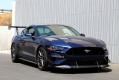 2018- Ford Mustang GT-250 Ford Mustang Spec 67