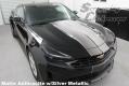 19-22+ Camaro Dual Full Length Stripes, Full Body Stripe Kit, Big Worm 