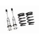 1963-1967 Corvette C2 Front & Rear Aldan SBC Double Adj Coilover & Shock Kit