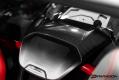 CCS C8 Corvette Carbon Fiber Waterfall Speaker Trim Cover