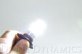 9005 HP48 LED Bulb Cool White Pair Diode Dynamics