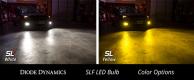 H8 SLF LED Cool White Single Diode Dynamics