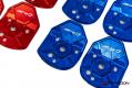 Paragon Performance C8 Rally Driver Corvette Rear Strut Covers - Coupe