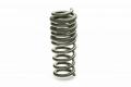 16-22+ Camaro 1SS / 2SS / ZL1 Pro-Kit Lowering Spring Kit, Eibach