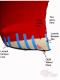 5th Gen 10-13 Camaro ZL1 Rear Diffuser Template