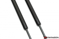 20-23+ C8 Corvette Carbon Fiber Hood Struts, Paragon