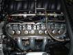 Vinci HP - LSx -  Extreme Duty Dual Valve Springs