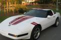 C4 Corvette GS Fender Stripes, Hash Marks