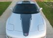 C5 Corvette, SE Stripe, Single Color Stripes, Full Kit